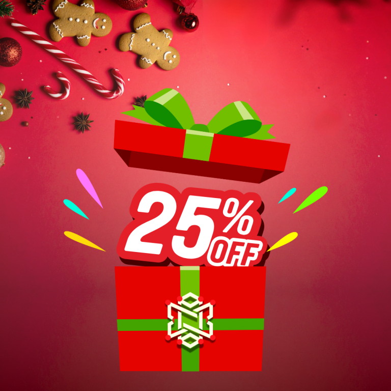 Read more about the article Christmas 2025 Founding Lifetime Discount